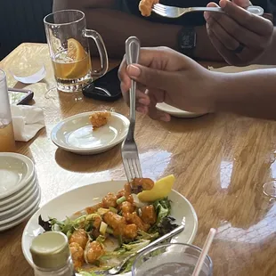 Alligator bites