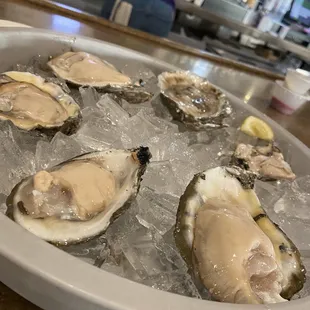 Raw oysters