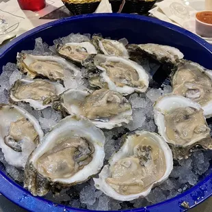 Raw oysters