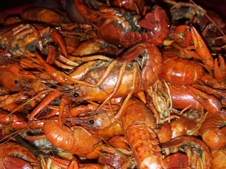 Seafood Corner