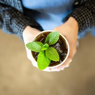 a person holding a cup of iced coffee