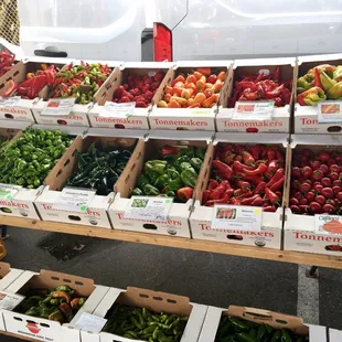 a variety of peppers