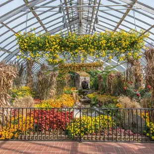 Phipps&apos; Fall Flower Show brings the cozy warmth of autumn through chrysanthemums in a variety of shapes and colors. Photo © Paul g. Wiegman