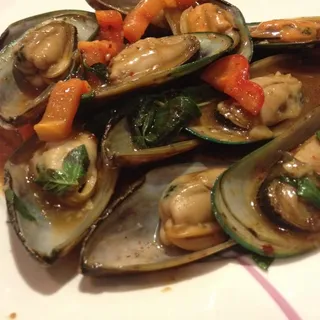 Mussels