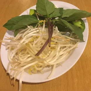 Pho 104 - I call these the "fixings." Sprouts, lines, jalapeños and fresh basil.