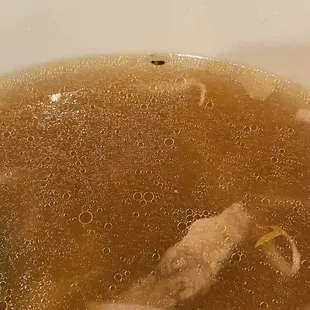 cockroach inside the soup that I ordered, how disgusting