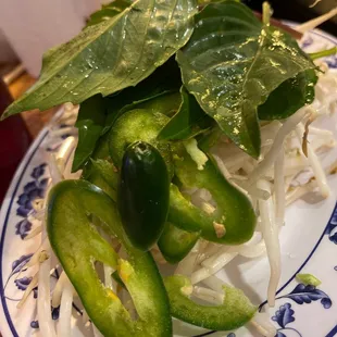 Fresh from the garden