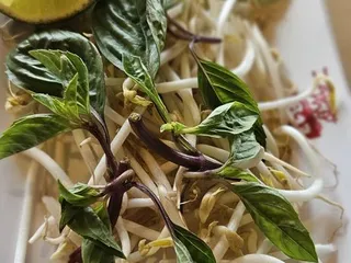 Pho 813
