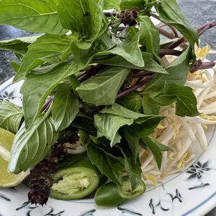 Heaping plate of sprouts and fresh basil.