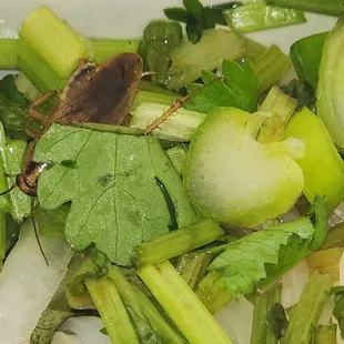 food, soup, soups and chowder, chowder