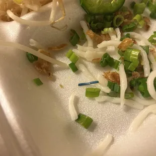 A rubber band in my soup. Like an episode of Seinfeld.