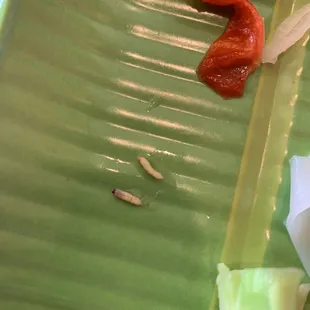 Maggot larva found in my Pho