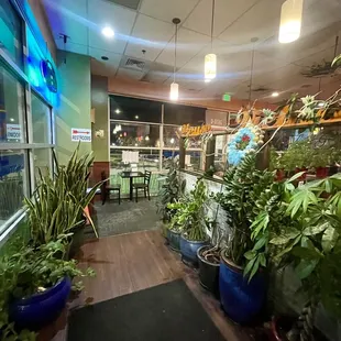 At the entrance - There are many plants