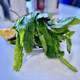 Pho 54