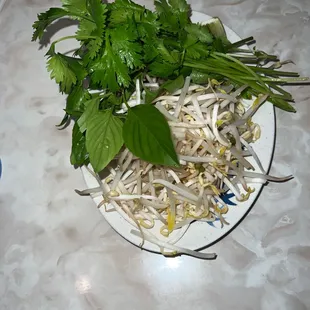 a plate of sprouts and leaves