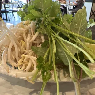 Phở fixings