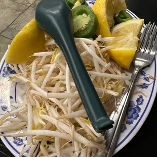 Side of bean sprouts - lemon looked used.