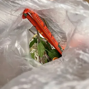 Bean sprouts, peppers, herbs, chopsticks and sauces for 3 all in one plastic bag