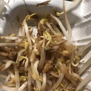 Slimy spoiled bean sprouts.