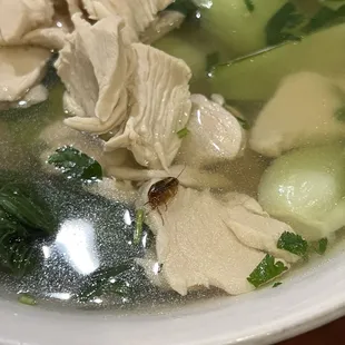 chowder, food, soups and chowder, soup