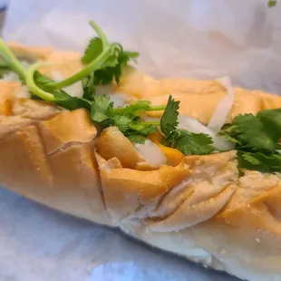 a sub sandwich