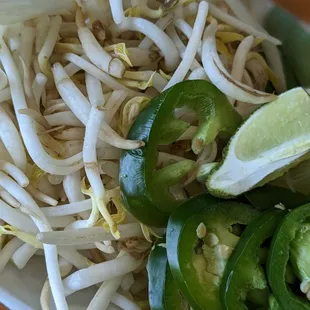 noodles, noodle soup, ramen and noodles, ramen, food, noodle dish