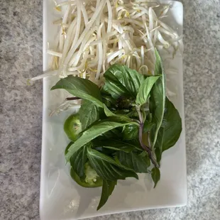 Veggie plate for pho