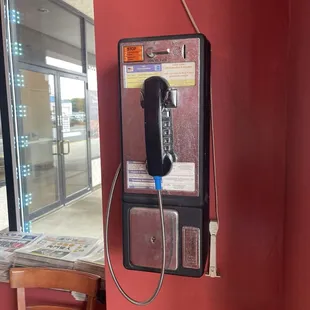 Are these still around? Lol (9.21.24)