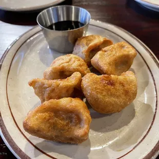 Potstickers with sauce