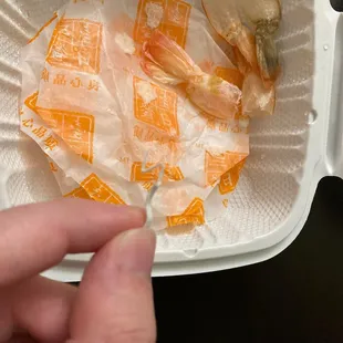 The piece of plastic found in my bun.