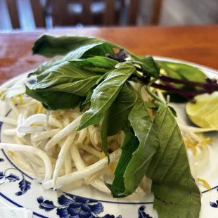 Bean Sprouts, mint Lea, one lime, and one piece of jalapeno.