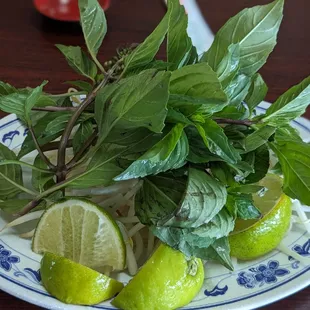 Basil, Bean Sprouts and Limes - Anne