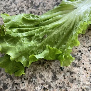 Always have to check your greens before you eat it. I am very paranoid with this kind of stuff.