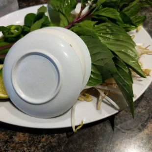 food, ramen, noodle soup, noodle dish, noodles, ramen and noodles