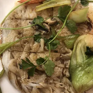 Stir Fried Noodles