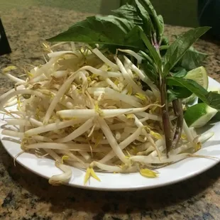 Sprouts and basil for two people
