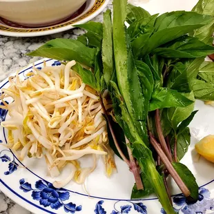 noodle dish, noodle soup, ramen, ramen and noodles, food, noodles