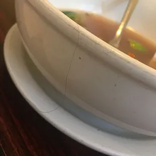Hair on the plate,  chicken Pho.