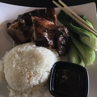 Rice Plates