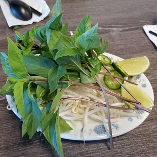 noodles, noodle soup, food, ramen and noodles, ramen, noodle dish