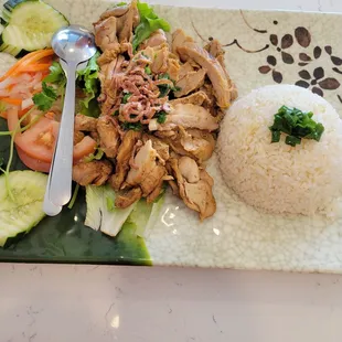 Chicken and rice plate