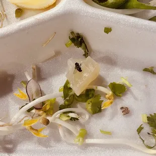 Dead fly at the bottom of my styrofoam container
