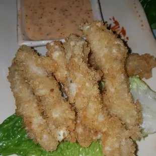 Fried Calamari