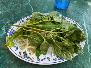 Pho Hoa Lao