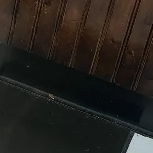 Roach
