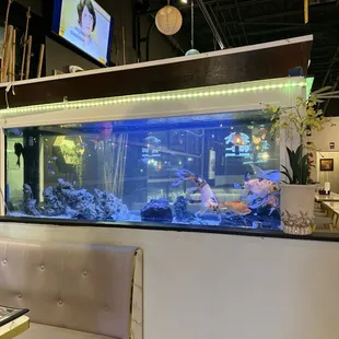 Inside is very nice, love the aquarium.