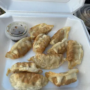 Fried pork dumplings