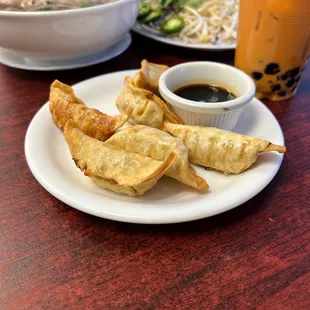 Fried Dumplings