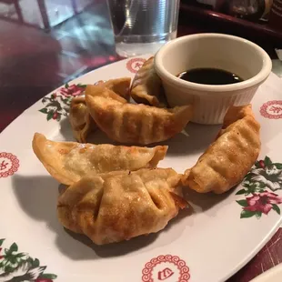 Fried Dumplings