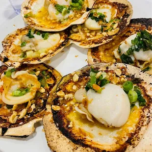a plate of scallops on a white plate